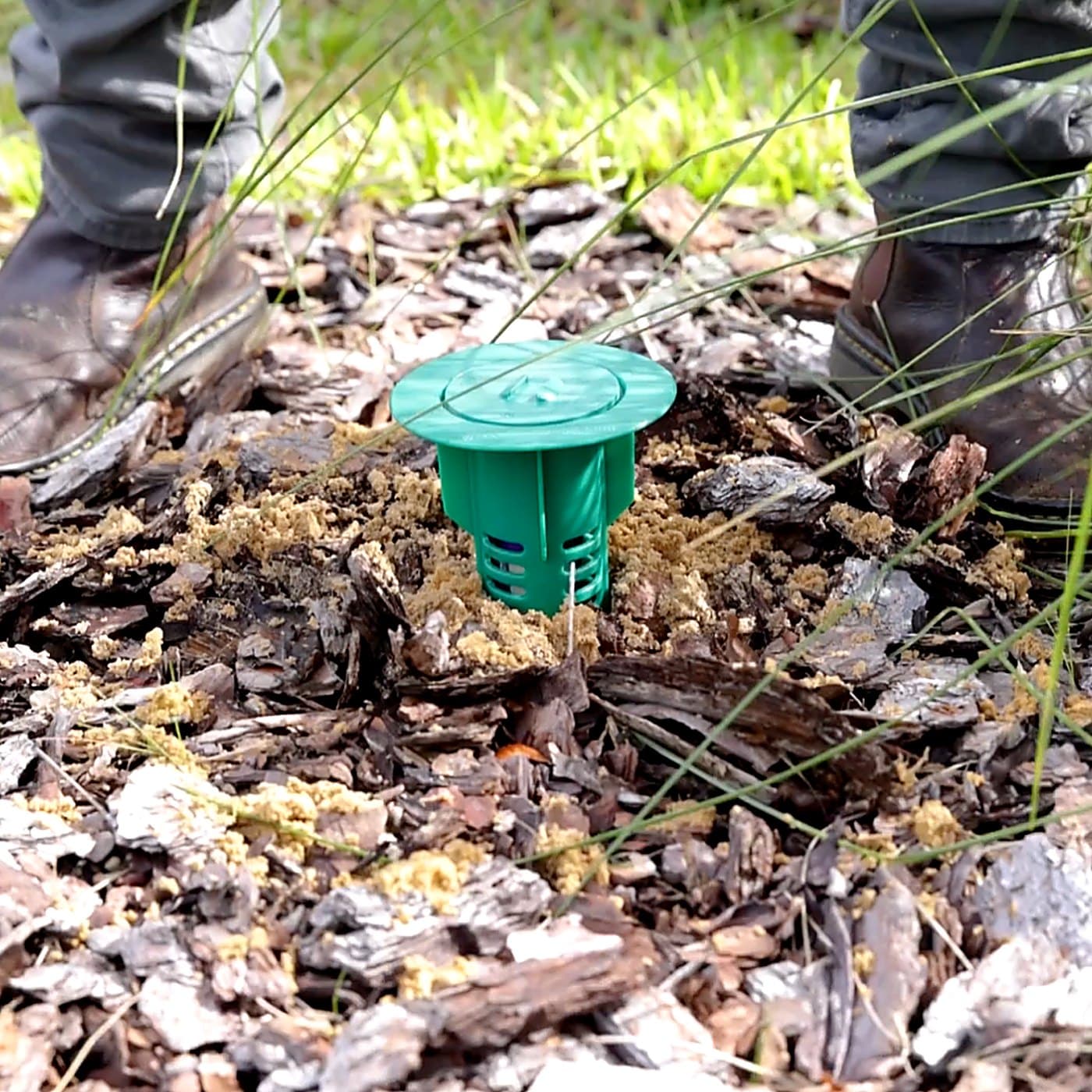 Gray Pest Control technician treating a Northeast Florida home for ants