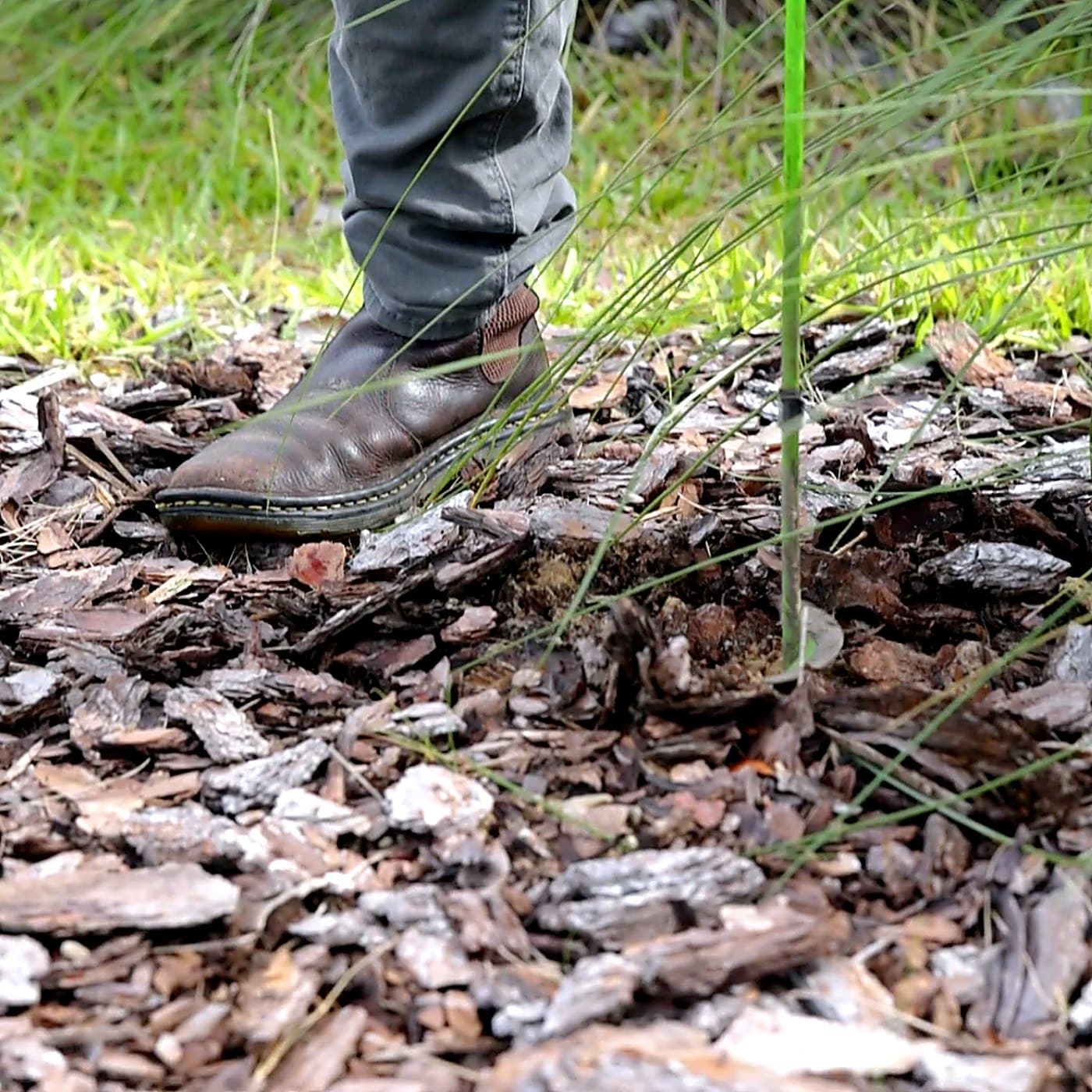 Gray Pest Control technician providing rodent control at a Northeast Florida home